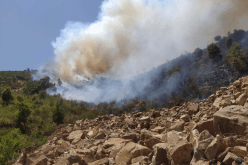 حرائق الغابات.. تنزانيا تعزي الجزائر وتعبّر عن تضامنها