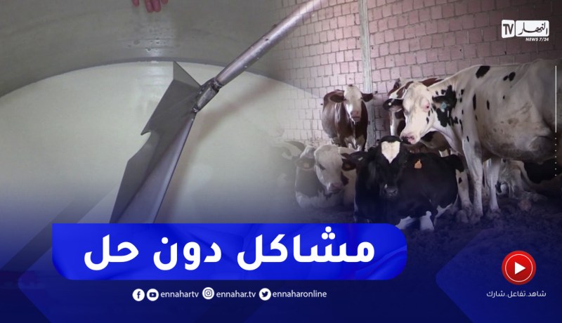 باتنة : تطور ملحوظ في شعبة إنتاج الحليب ومشاكل قد تعيدها إلى نقطة الصفر