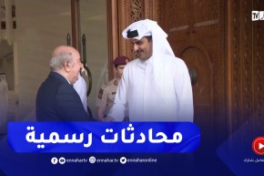 محادثات رسمية بين الرئيس تبون و أمير قطر تناولت سبل تعزيز وتطوير العلاقات الثنائية في مختلف المجالات