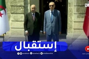 رئيس الجمهورية يستقبل من طرف الرئيس التركي رجب الطيب أردوغان باسطنبول