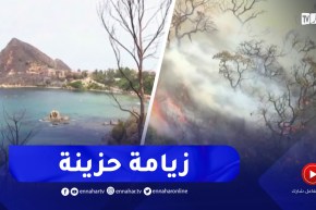 جيجل : زيامة المنصورية..النيران تحول غابات معشوقة السياح إلى رماد