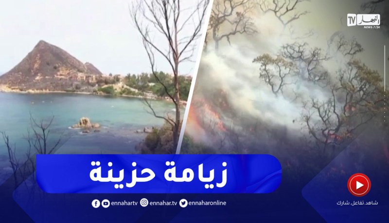 جيجل : زيامة المنصورية..النيران تحول غابات معشوقة السياح إلى رماد