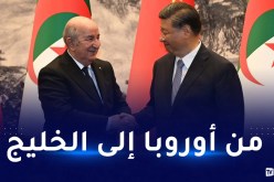 الرئيس تبون.. هذه الدول لديها علاقات طيبة مع الجزائر وأخرى صديقة