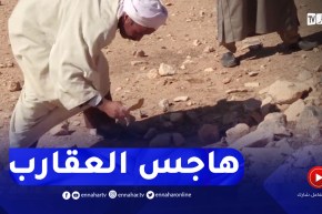 الجلفة : إنتشار العقارب و غياب الكهرباء يزيد من مخاوف سكان عين لعزايجي