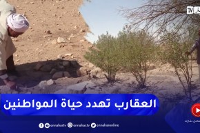 الجلفة: إنتشار العقارب و غياب الكهرباء يزيد من مخاوف سكان “عين لعزايجي”