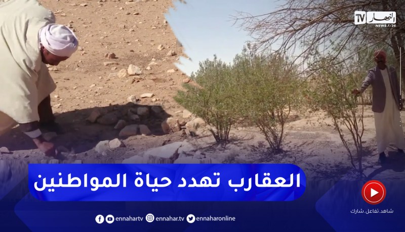 الجلفة: إنتشار العقارب و غياب الكهرباء يزيد من مخاوف سكان “عين لعزايجي”