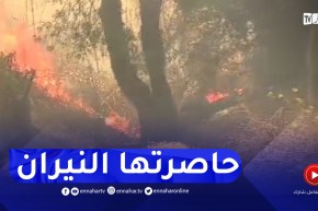 تيزي وزو: قرية ازيرثن ببلدية ايحي يحيى تحاصرها النيران