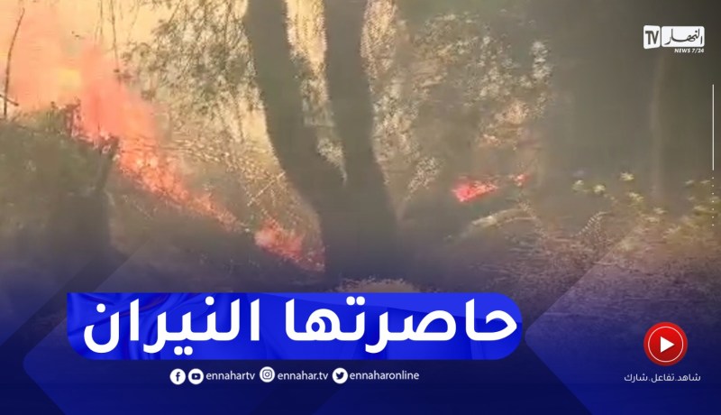 تيزي وزو: قرية ازيرثن ببلدية ايحي يحيى تحاصرها النيران