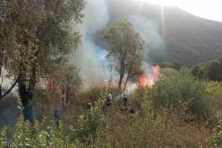 سفارة ألمانيا تعزي عائلات شهداء حرائق الغابات