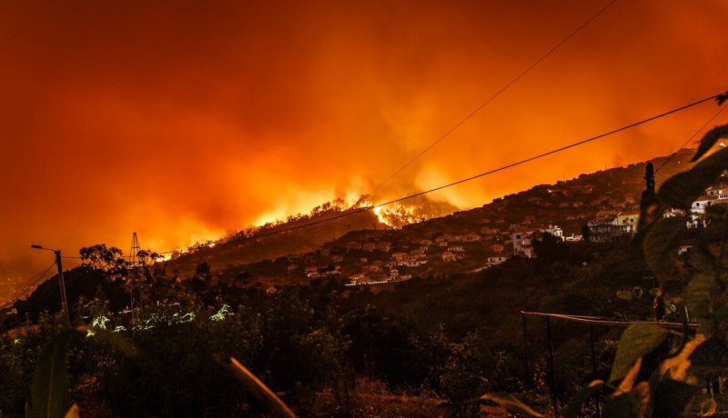 إيطاليا: وفاة 7 أشخاص جراء حرائق الغابات وإغلاق مطار باليرمو