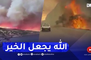 شاهد..حـ.ـرائق مهولة بعدد من ولايات شرق الوطن