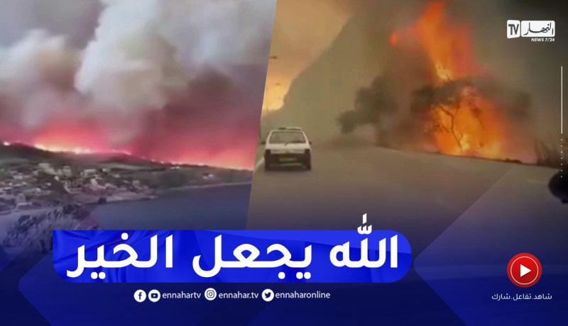 شاهد..حـ.ـرائق مهولة بعدد من ولايات شرق الوطن