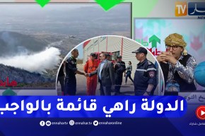 النوي يرد بقوة على كل من يقف وراء مواقع التواصل و ينتقد الدولة الجزائرية بسبب حرائق الغابات
