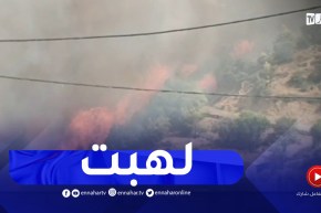 شاهد حرائق الغابات باعالي بلدية الزبربر الاخضرية بالبويرة