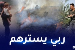 حرائق الغابات.. صور مؤلمة لعمليات الإنقاذ والإجلاء