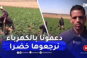 سعيدة: الميلود ويحي.. فلاحان يرفعان التحدي لخدمة الأرض رغم الصعاب