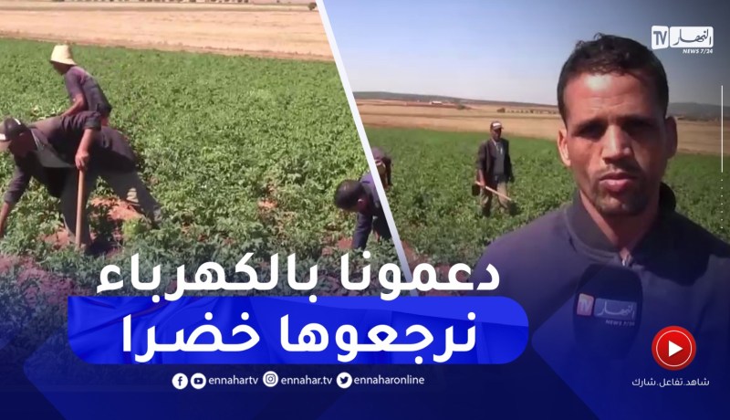 سعيدة: الميلود ويحي.. فلاحان يرفعان التحدي لخدمة الأرض رغم الصعاب