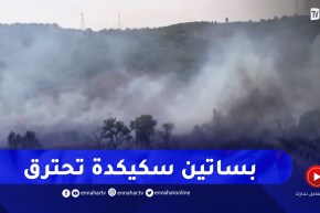 سكيكدة: النيران تلتهم بساتين وتشل الحركة على الطريق الوطني الجبلي 44 ببني ببشير