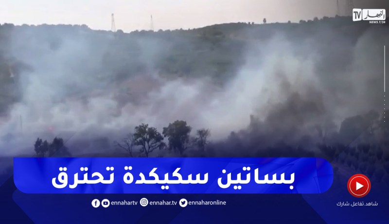 سكيكدة: النيران تلتهم بساتين وتشل الحركة على الطريق الوطني الجبلي 44 ببني ببشير