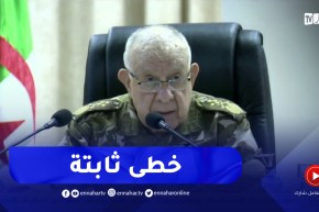 شنقريحة : الجزائر تسير بخطى ثابتة نحو القمة في مجالاتها الجيوسياسية والإقليمية والجهوية