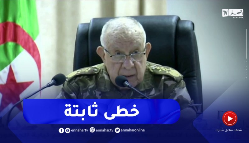 شنقريحة : الجزائر تسير بخطى ثابتة نحو القمة في مجالاتها الجيوسياسية والإقليمية والجهوية