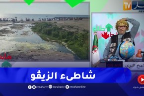 طالع هابط: النوي يطالب وزيرة البيئة بعد الكارثة البيئية في شاطىء بالمبيش بالعاصمة