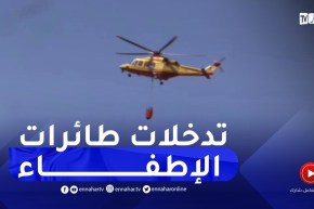 شاهد.. كيف تدخلت طائرات الإطفاء والمروحيات لإخماد حرائق قرية اولاد قاسم بالأخضرية