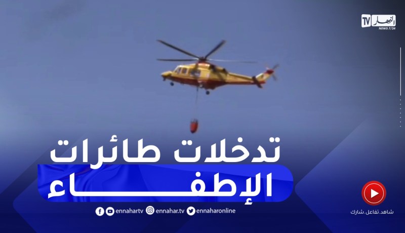 شاهد.. كيف تدخلت طائرات الإطفاء والمروحيات لإخماد حرائق قرية اولاد قاسم بالأخضرية