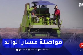 سعيدة : قصة مزارعين عشقا الأرض والفلاحة فنجحا في إنتاج أجود أنواع الحبوب