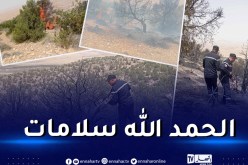 بالصور.. إخماد حريق بغابة جبل المستير ذراع الحمام بالحمامات في تبسة