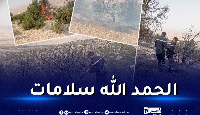 بالصور.. إخماد حريق بغابة جبل المستير ذراع الحمام بالحمامات في تبسة