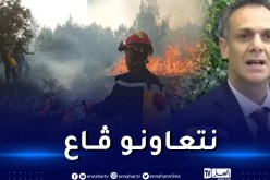 حماد يأمر بتسخير دور الشباب لفائدة منكوبي حرائق الغابات