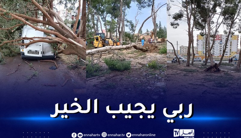 تحطم سيارتين وسقوط 30 شجرة بسبب أمطار رعدية في سطيف