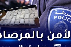 إحباط إغراق الجزائر بأزيد من 79 كلغ من الكوكايين وتوقيف 16 شخصا