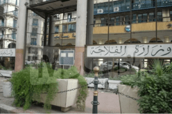 دخول مخطط وقائي لمكافحة الجراد حيز التنفيذ بداية من جويلية