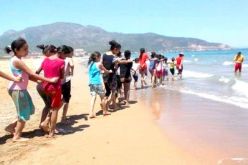 31750 طفلا من أبناء الجالية والجنوب والهضاب العليا يستفيدون من المخيمات الصيفية
