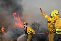 ارتفاع ضحايا حرائق الغابات في هاواي إلى 80 قتيلا