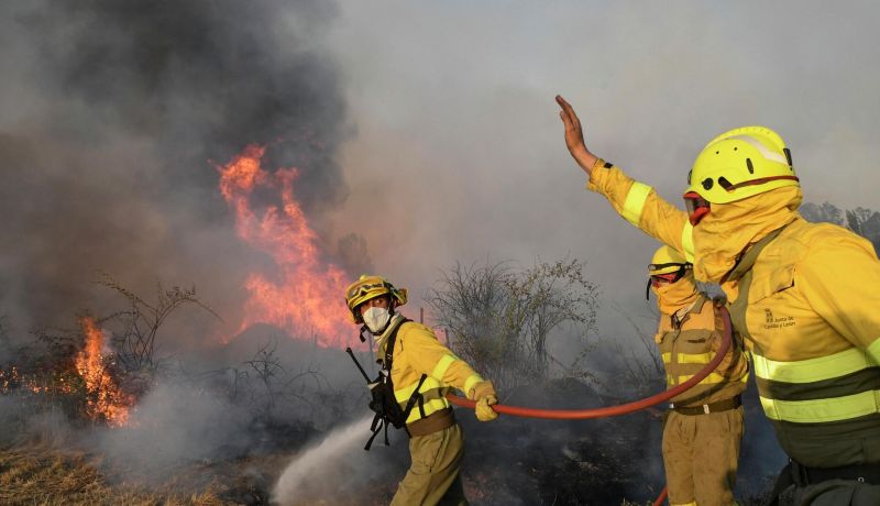 ارتفاع ضحايا حرائق الغابات في هاواي إلى 80 قتيلا