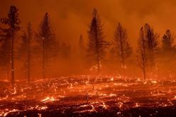 حرائق أمريكا: ارتفاع حصيلة القتلى إلى 93 شخصاً