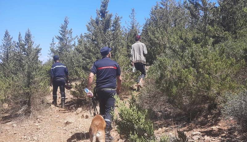 البحث عن طفل مفقود في الدرابلية بالمدية