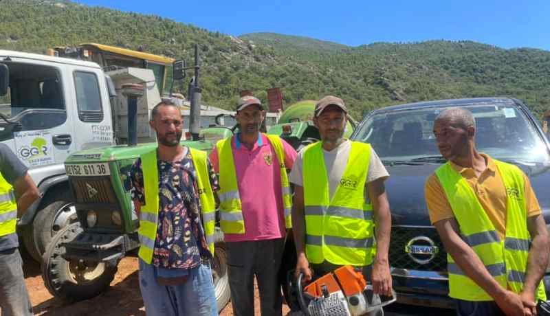 قطاع الغابات.. تثبيت 3 آلاف عون موسمي في مناصبهم قريبا
