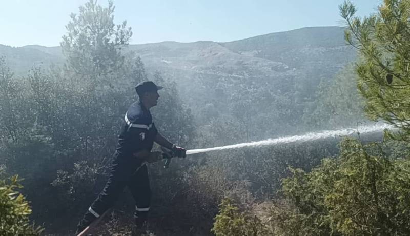 إندلاع حريق في غابة بربارة بالبويرة