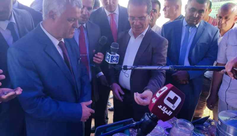 وزير الفلاحة: الدولة تدعم توزيع الشعير العلفي بـ 7 ملايير دينار سنويا