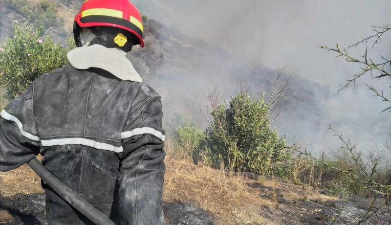 إخماد أغلب حرائق الغابات المندلعة بعدة ولايات