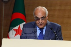 بالتفاصيل.. هذه خطة رئيس الجمهورية لحل الأزمة في النيجر