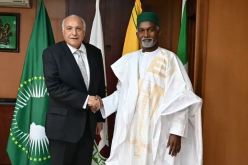أزمة النيجر.. محور المحادثات بين عطاف ونظيره النيجيري
