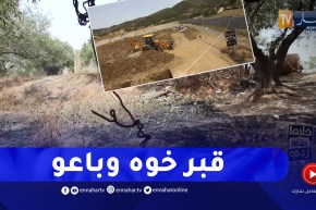 خليها على ربي: لن تصدقوا.. العم يبيع قبر خوه مع قطعة الأرض!