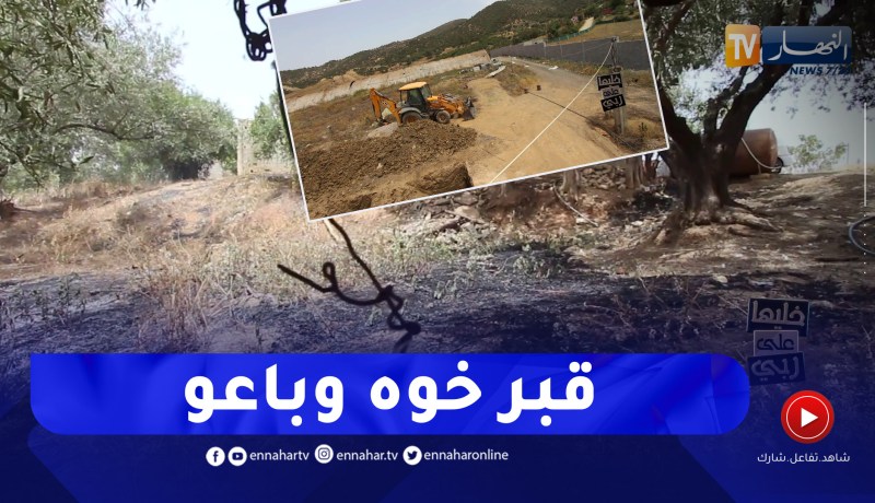 خليها على ربي: لن تصدقوا.. العم يبيع قبر خوه مع قطعة الأرض!