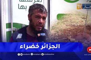 الجزائر خضراء بإذن الله.. مبادرة تحصد الملايين من المتابعين عبر الوطن