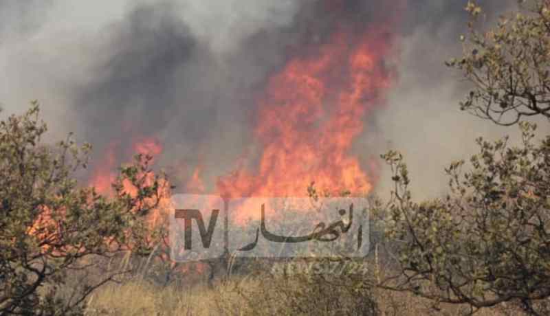 هني: الإعتماد على الأقمار الصناعية في مكافحة الحرائق بداية من العام المقبل